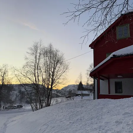 Sirdal Fjellhytte - At Sinnes 別荘 *